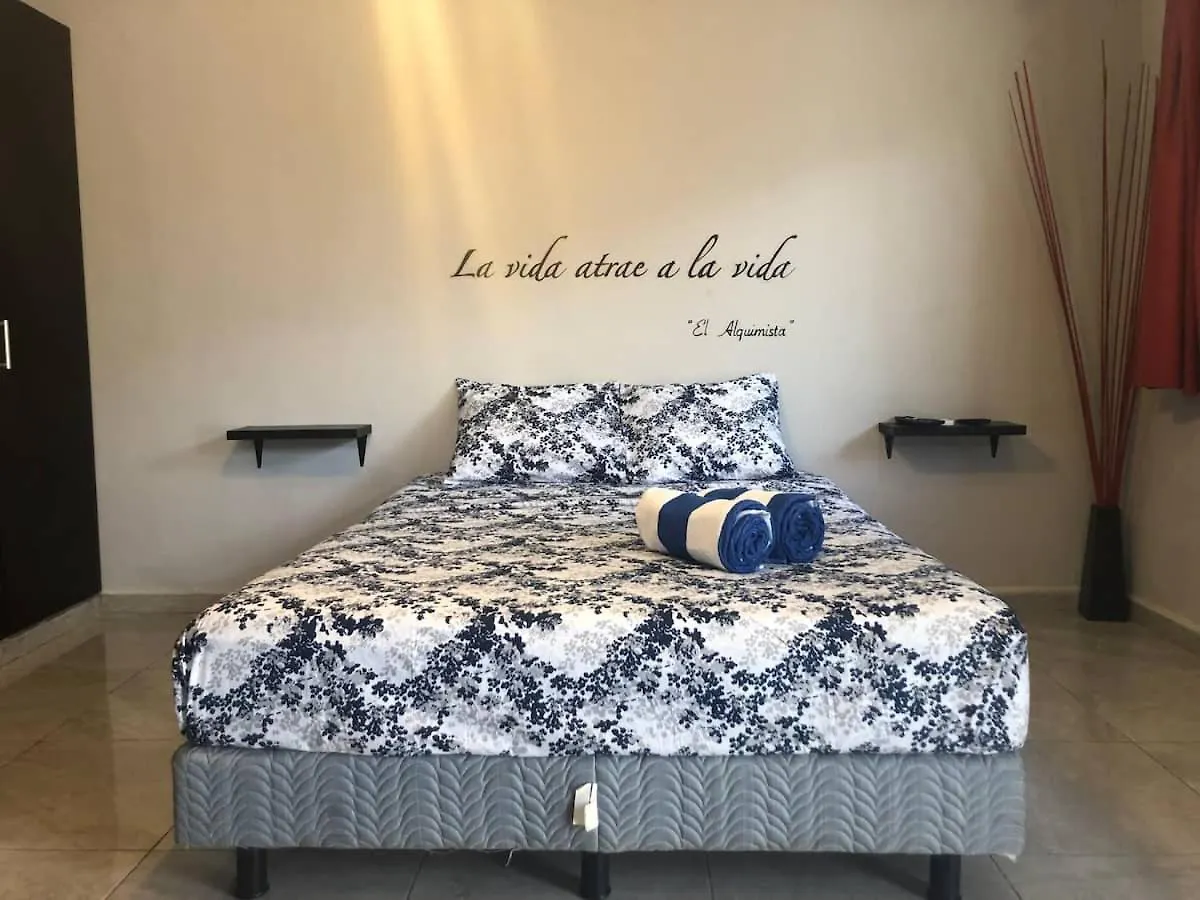 Апартаменты Mayan Caribe Apart-Hotel Плая-дель-Кармен