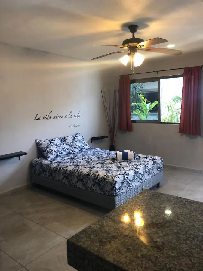 Mayan Caribe Apart-Hotel Плая-дель-Кармен Апартаменты